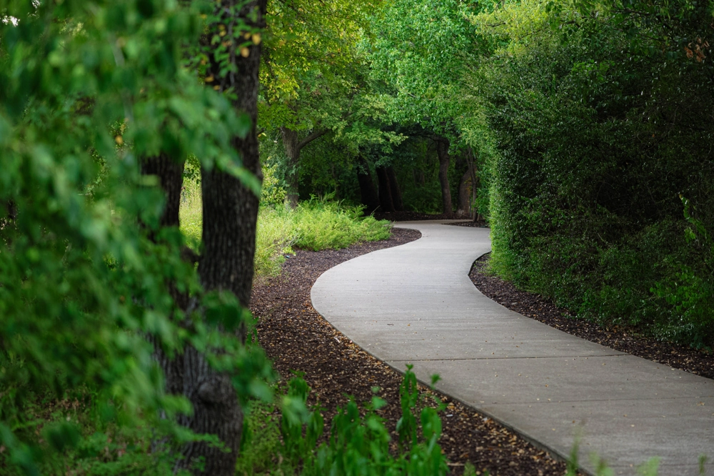 Betonowy chodnik o zakrzywionym kształcie w otoczeniu zielonych drzew – usługa Podjazdy i chodniki